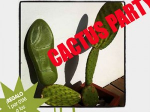 One Moment Cactus Party